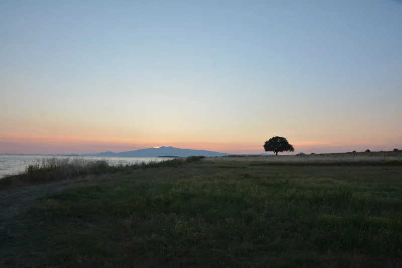 Gryneion (Гриней) — оракул Аполлона у Aliağa, İzmir
