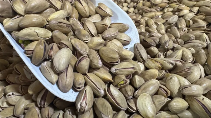 Turkey exported $32.8 million worth of pistachios in the first quarter